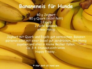 Bananeneis für Hunde
